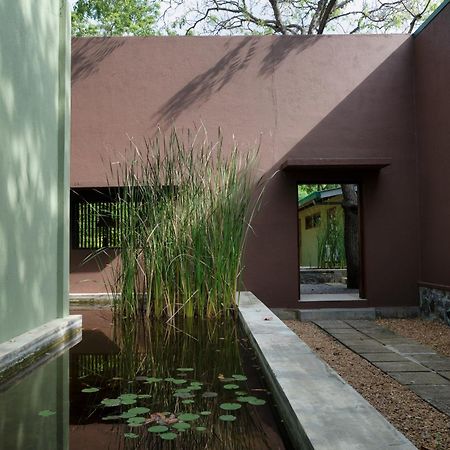 Neem Tree House Villa Kirinda  Ngoại thất bức ảnh