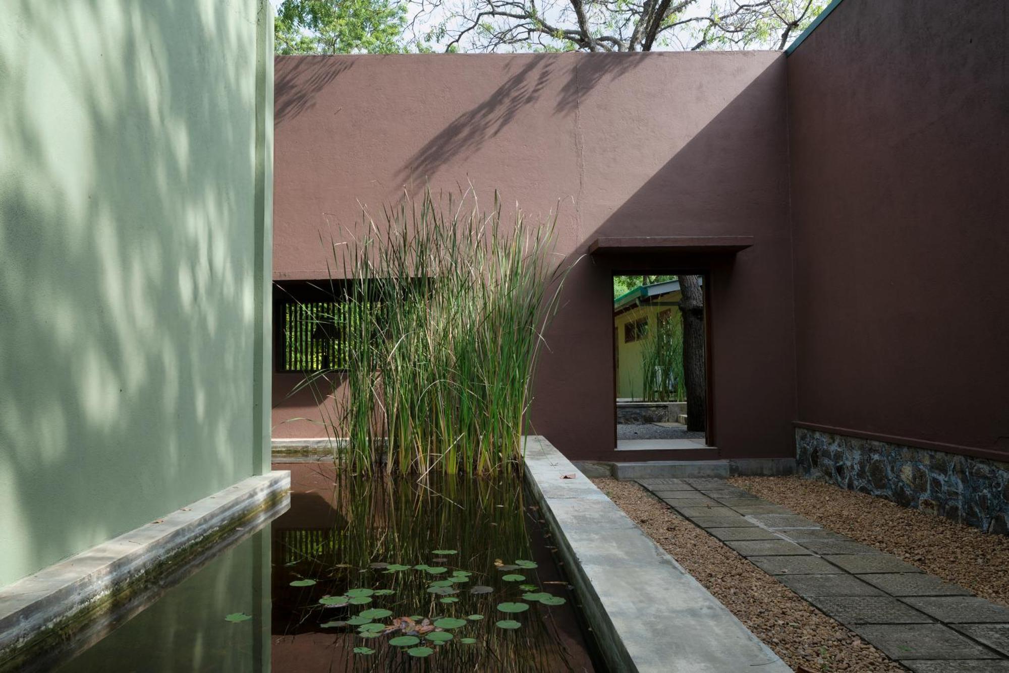 Neem Tree House Villa Kirinda  Ngoại thất bức ảnh